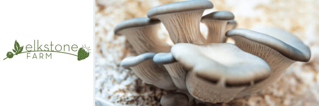 elkstone farm mushroom